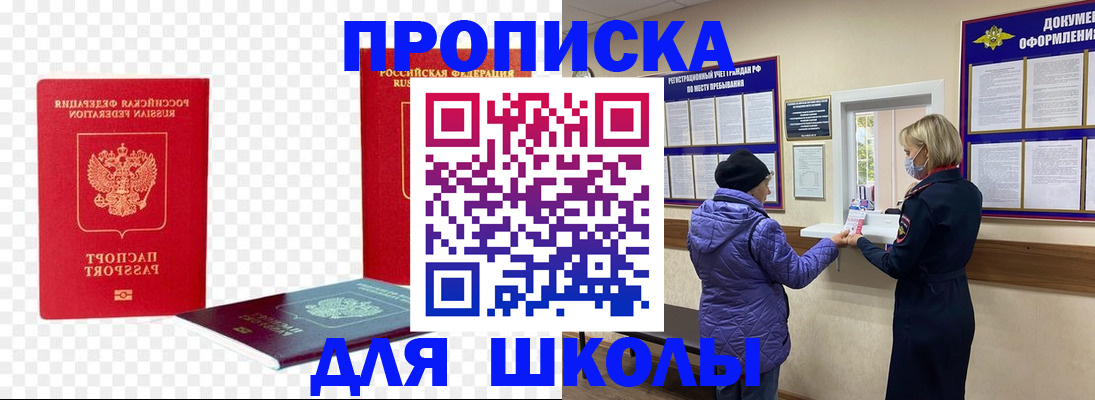 где прописаться в Звенигово